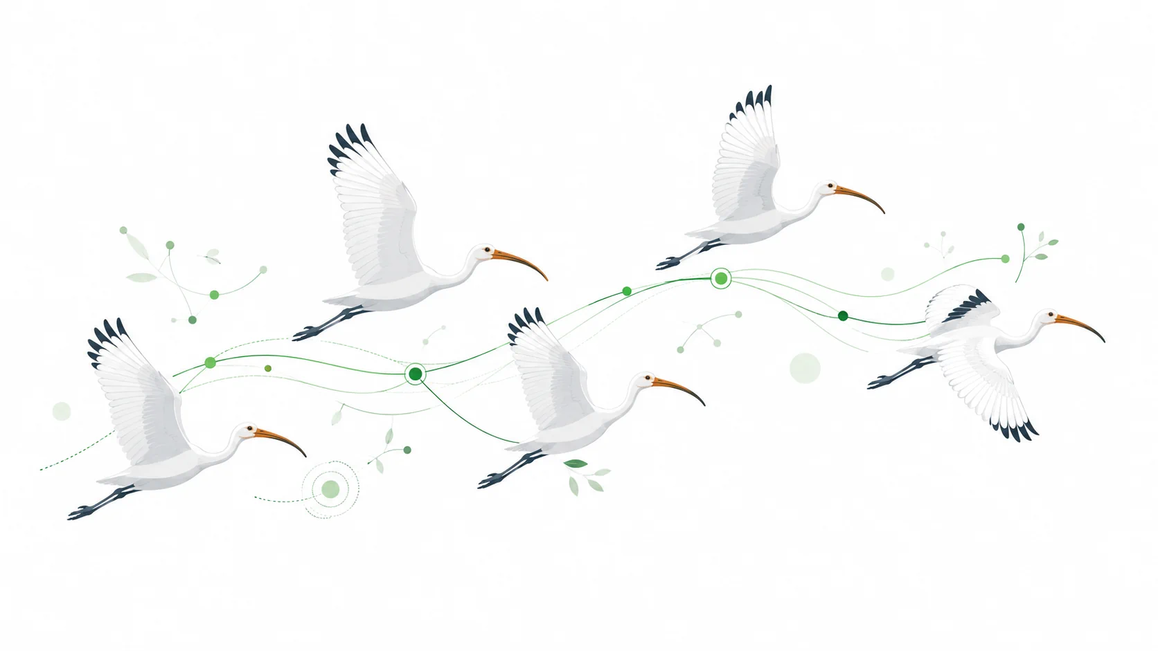 Ibis-Schwarm-Illustration: gemeinsames Wissen und präzise Zusammenarbeit — Symbol der Ibis Flow GmbH