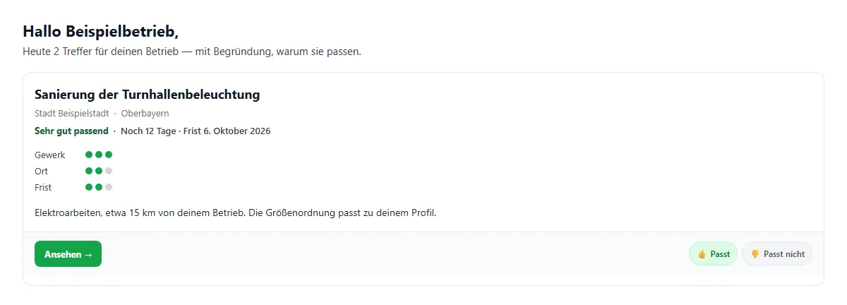Beispiel der morgendlichen E-Mail: ein Treffer mit Begründung, Frist und den Aktionen Ansehen, Passt und Passt nicht.
